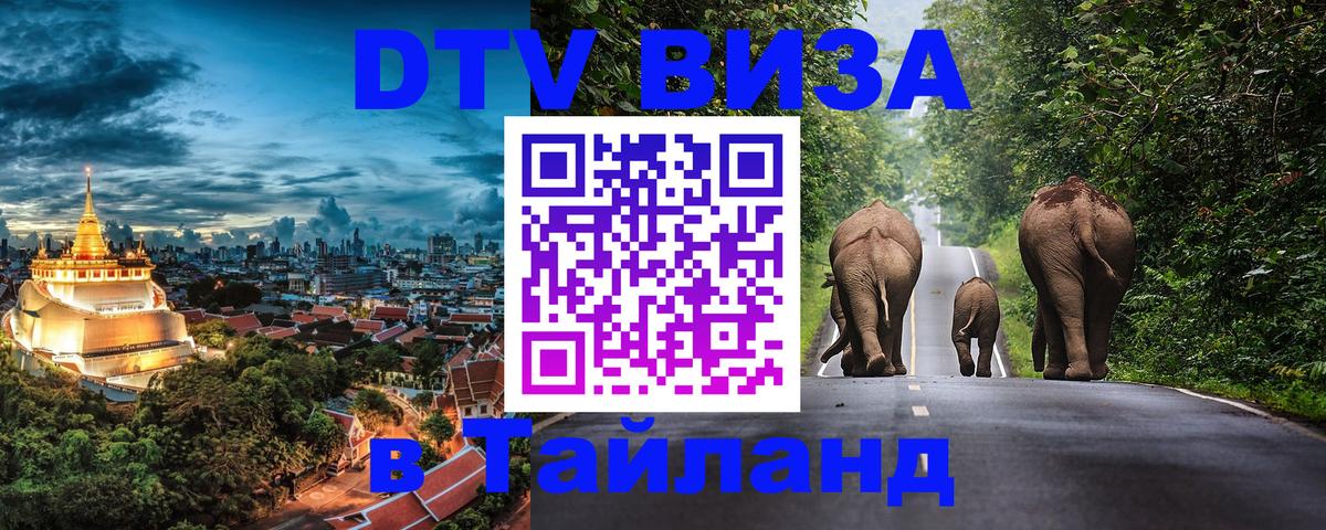 Сколько стоит DTV виза — актуальные цены, оформление даже без документов - Скопье  20.11.2025 